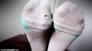 Sweaty Sock Punishment - Mobile.webp