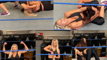 Blonde vs brunette pedigrees, choke bombs and submissions.webp