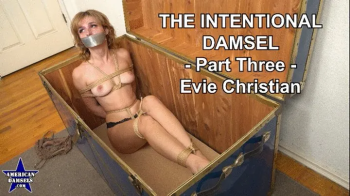The Intentional Damsel - Part Three - Evie Christian - 854x480.webp