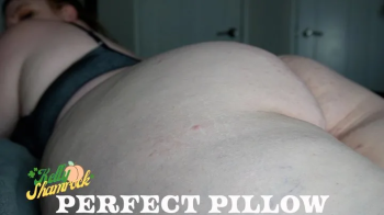Perfect Pillow.webp