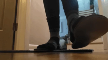 Giantess and cat stomping around the house.webp