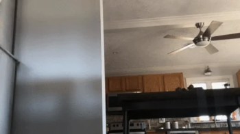 Did Somebody Call an Exterminator.webp