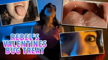Rebels Valentines Bug Treat POV - HD 1080p Version.webp