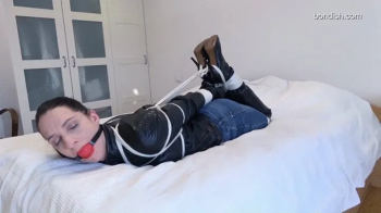 BEST OF PAULA HOGTIED.webp