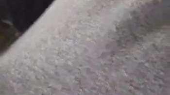 Warning- this compilation is a weapon of mass gas-struction.webp