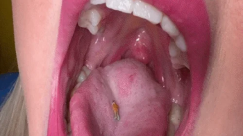 The passion to be in a giant mouth MOV.webp