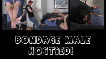 Asymmetrical Hogtie 1280x720.webp