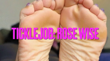 TickleJob- Rose Wise.webp