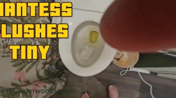 GIANTESS FLUSHES PERVY TINY DOWN THE DRAIN.webp