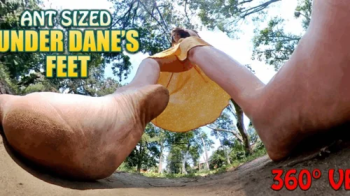 360 VR - Ant Sized Under Danes Feet - HD 1080p Version - Regular Bitrate.webp