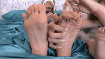 Watch out for tickle predicator ( MP4 - MOBILE VERSION ).webp