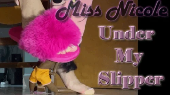Under My Slipper.webp