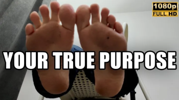 Feet, Your True Purpose - Full HD 1080p - KingMarti.webp