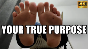 Feet, Your True Purpose - 4k UHD 2160p - KingMarti.webp