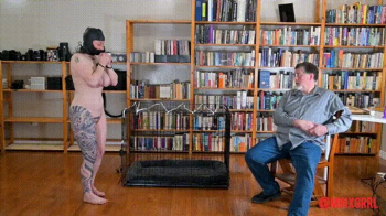 MinxGrrl - Bad Slave Is Caged and Ass Plugged (WMV Format).webp