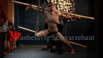 ZEUS PREDICAMENT BONDAGE TWO BAMBOO HD 720p.webp
