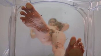 Worship My Feet 'Til They End You - Giantess Foot Crush Domination.webp