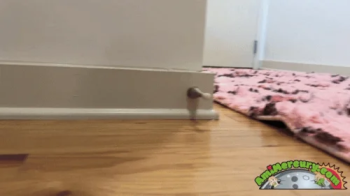 Unaware Apartment Giantess.webp