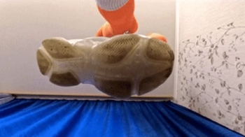 Look at my Balenciaga sneakers from the bottom, fc350x 1080p.webp