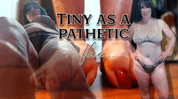 Tiny as a pathetic Flea.webp