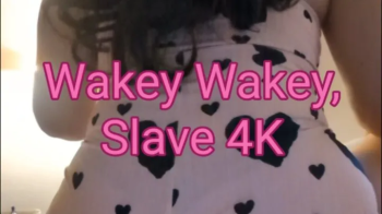 Wakey Wakey, Slave 4K.webp