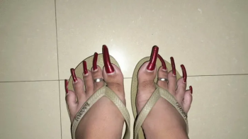 AlluringClaws' feet.webp