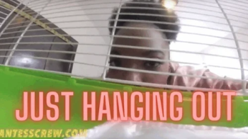 GIANTESS CREW – MIRANDA-Just Hanging Out.webp