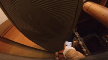 Choosing a Sock Slave - 360VR.webp