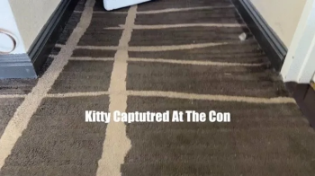 Kitty Quinzell and Kandylegs In- Kitty Captured at the Con Standard Res.webp