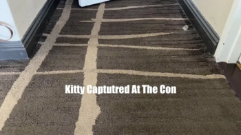 Kitty Quinzell and Kandylegs In- Kitty Captured at the Con WMV.webp
