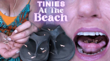 Tinies at the Beach UHD.webp