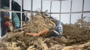 shrinking fetish - Giantess MXDominion Dominates teenie in its Cage, Giantess special effects, female domination, slave.webp