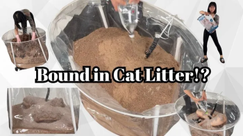 Bound in Cat Litter!.webp