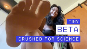 beta Male DNA Harvest- Tiny is Crushed for Science.webp