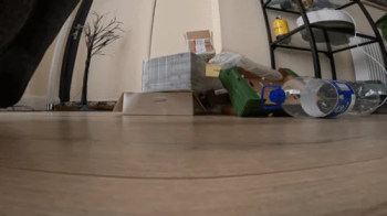 POV Giantess's Playtime I crush boxes with my huge heels.webp