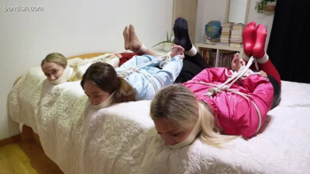 THE HOGTIED TRIO.webp