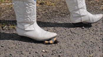 Little Men Get Crushed and Walked all Over in my Sexy Cowboy Boots.webp