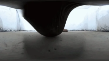 GIANTESS GAOYU Flat Shoes.webp