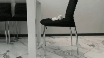 New question for a giantess video MP4 FULL HD 1080p.webp