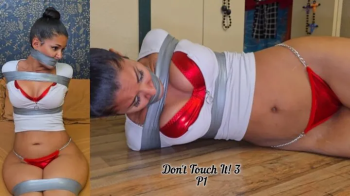 Don't Touch It 3- Part 1.webp