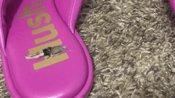 shrinking fetish - Tiny Roach Disguise – Intruder Jerking off on Goddess MXDominion’s Giant Sandals, femdom, sandals.webp