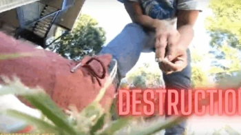 Giantess Crew – CJ – Destruction.webp