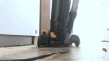Unaware Giantess - Tinies in Roach Disguises vs the Giant Vacuum, Shrinking Fetish, Giantess, Femdom 1080.webp