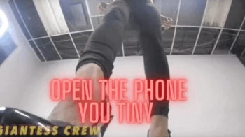 Giantess Crew Open your phone, You tiny!.webp