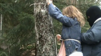 Captured At The Autumn Forest - FULL HD (mp4) - JC20251204.webp