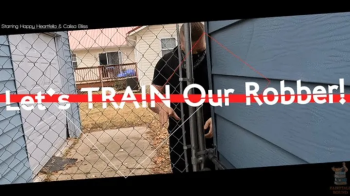 Let's TRAIN Our Robber! Starring Happy Heartfella & Calisa Bliss - Happy Breaks In Only To Be Caught and Turned Into A S.webp