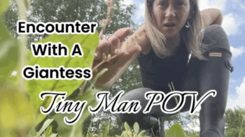 Encounter With A Giantess Tiny Man POV.webp