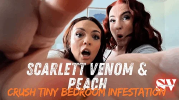 Scarlett Venom & Peach Crush Tiny Bedroom Infestation in POV Torment Duo 720.webp