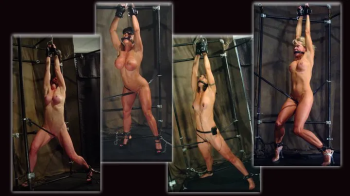 FitBondage Volume 13.webp