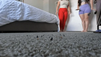 Under our Heels-4K.webp
